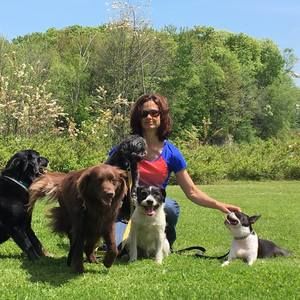 Meet your Posher, Chantal